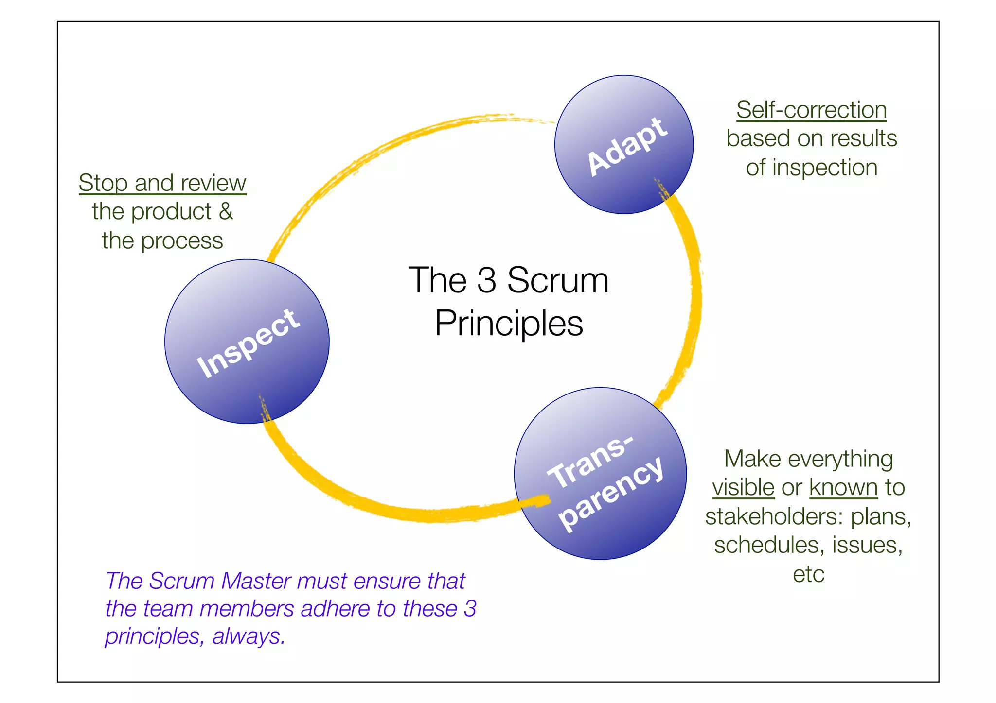 Make everything
visible or known to
stakeholders: plans,
schedules, issues,
etc
Stop and review
the product 
the process
Self-correction
based on results
of inspection
The 3 Scrum
Principles
The Scrum Master must ensure that
the team members adhere to these 3
principles, always.
 