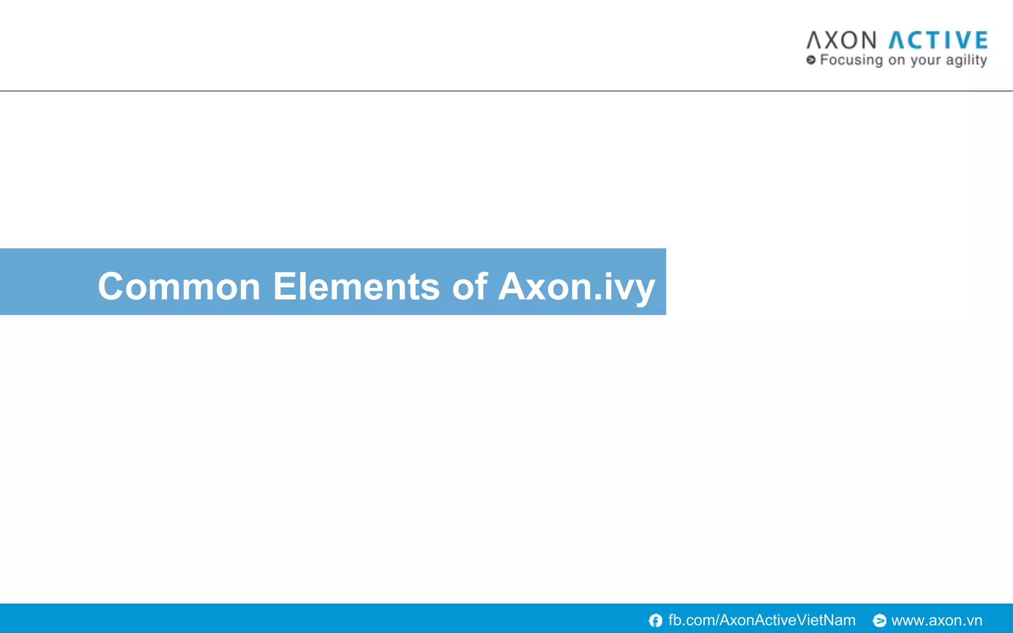 www.axon.vnfb.com/AxonActiveVietNam
Common Elements of Axon.ivy
 