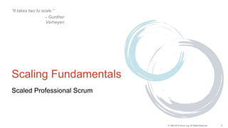 5© 1993-2015 Scrum.org, All Rights Reserved
Scaling Fundamentals
Scaled Professional Scrum
“It takes two to scale.”
– Gunther
Verheyen
 