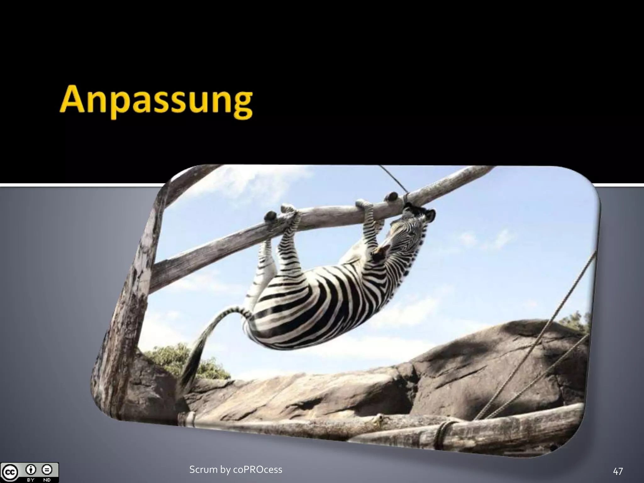 Scrum by coPROcess 47
 