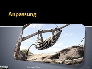 Scrum by coPROcess 47
 