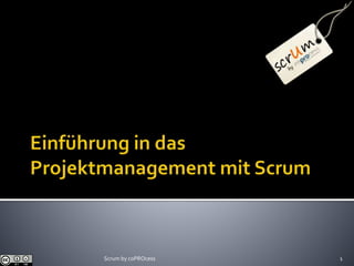 1Scrum by coPROcess
 