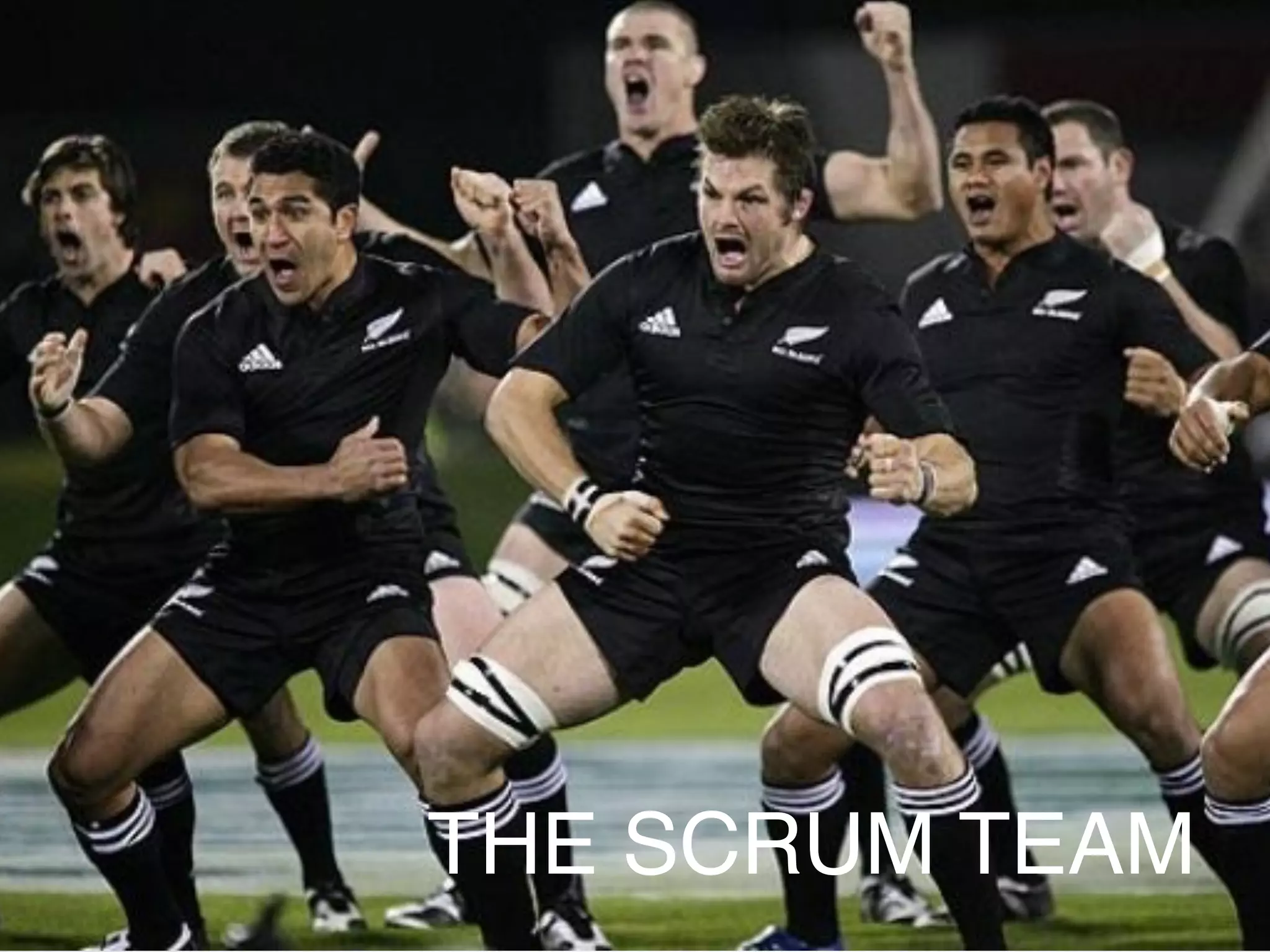 THE SCRUM TEAM
 