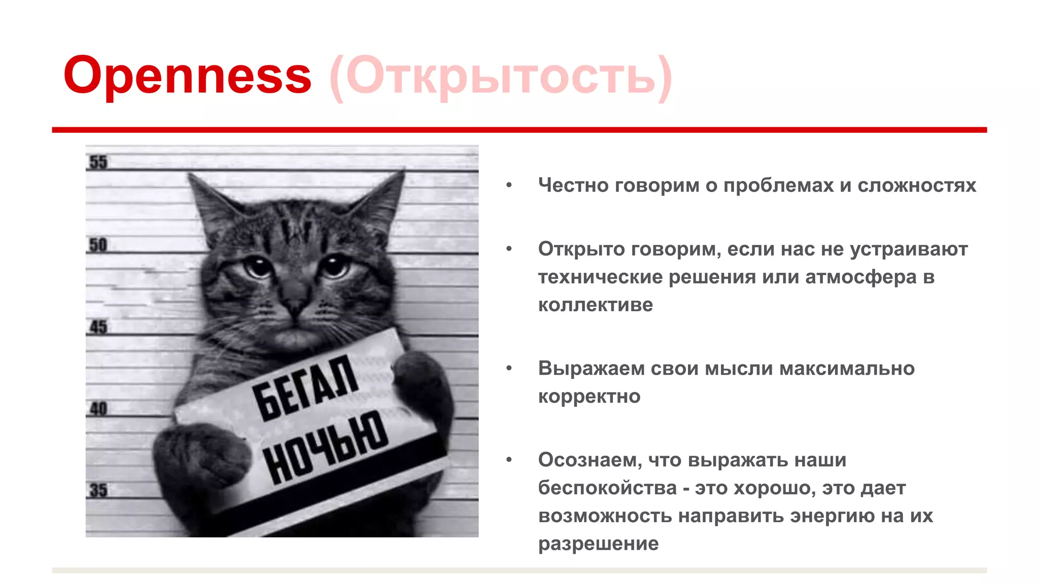 Openness (Открытость)
• Честно говорим о проблемах и сложностях
• Открыто говорим, если нас не устраивают
технические решения или атмосфера в
коллективе
• Выражаем свои мысли максимально
корректно
• Осознаем, что выражать наши
беспокойства - это хорошо, это дает
возможность направить энергию на их
разрешение
 