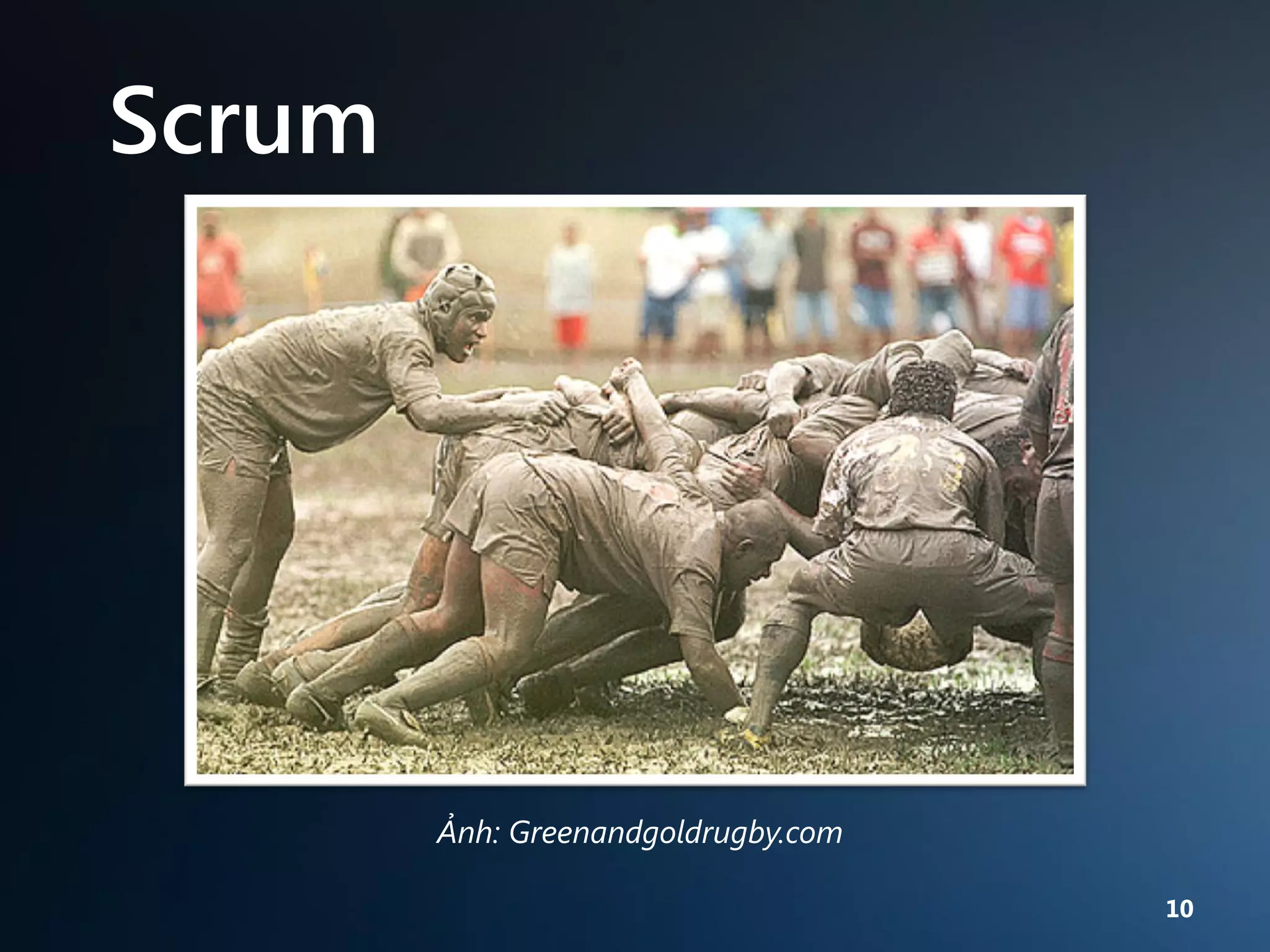 Scrum

Ảnh: Greenandgoldrugby.com
10

 