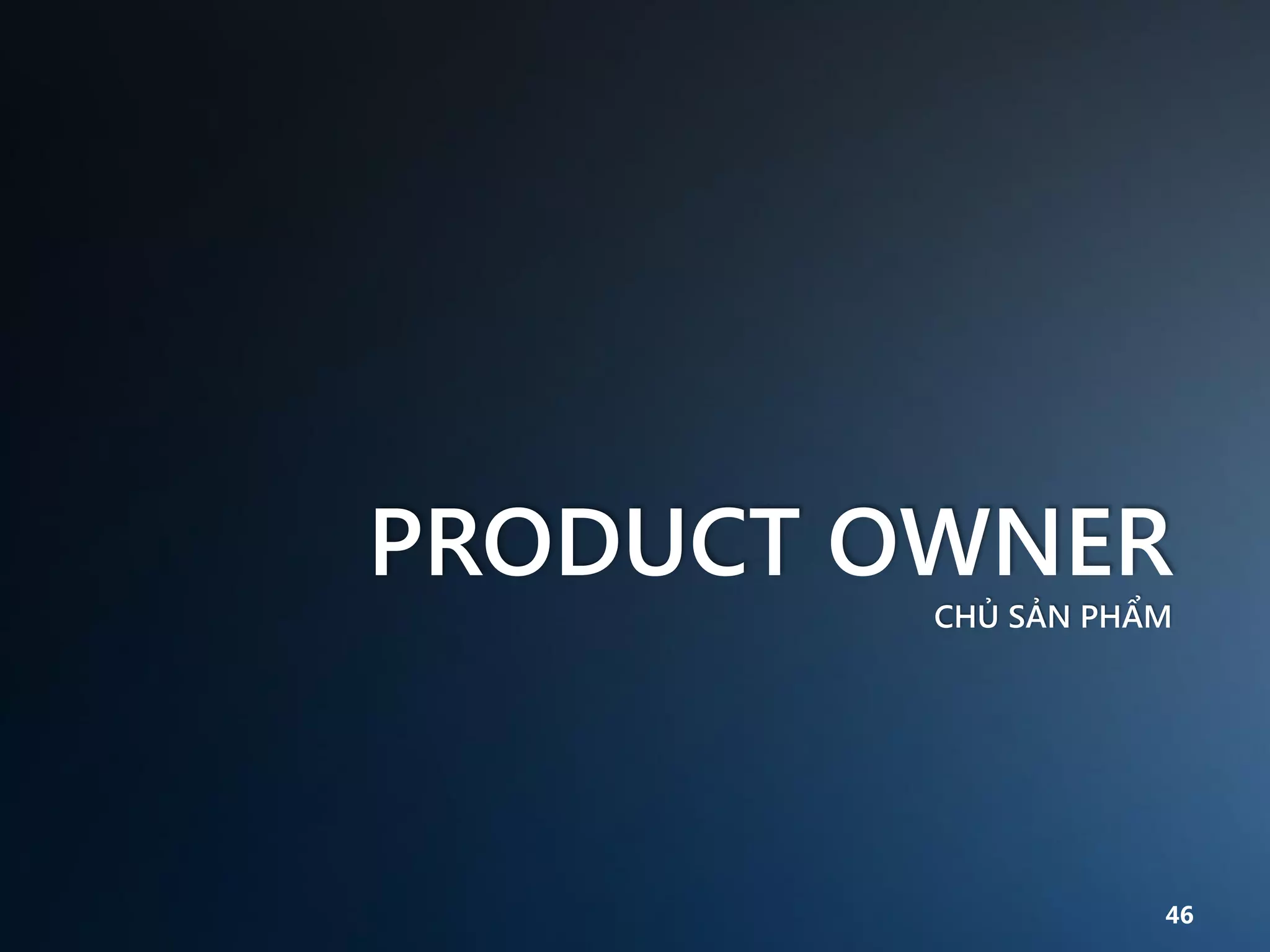 PRODUCT OWNER
CHỦ SẢN PHẨM

46

 
