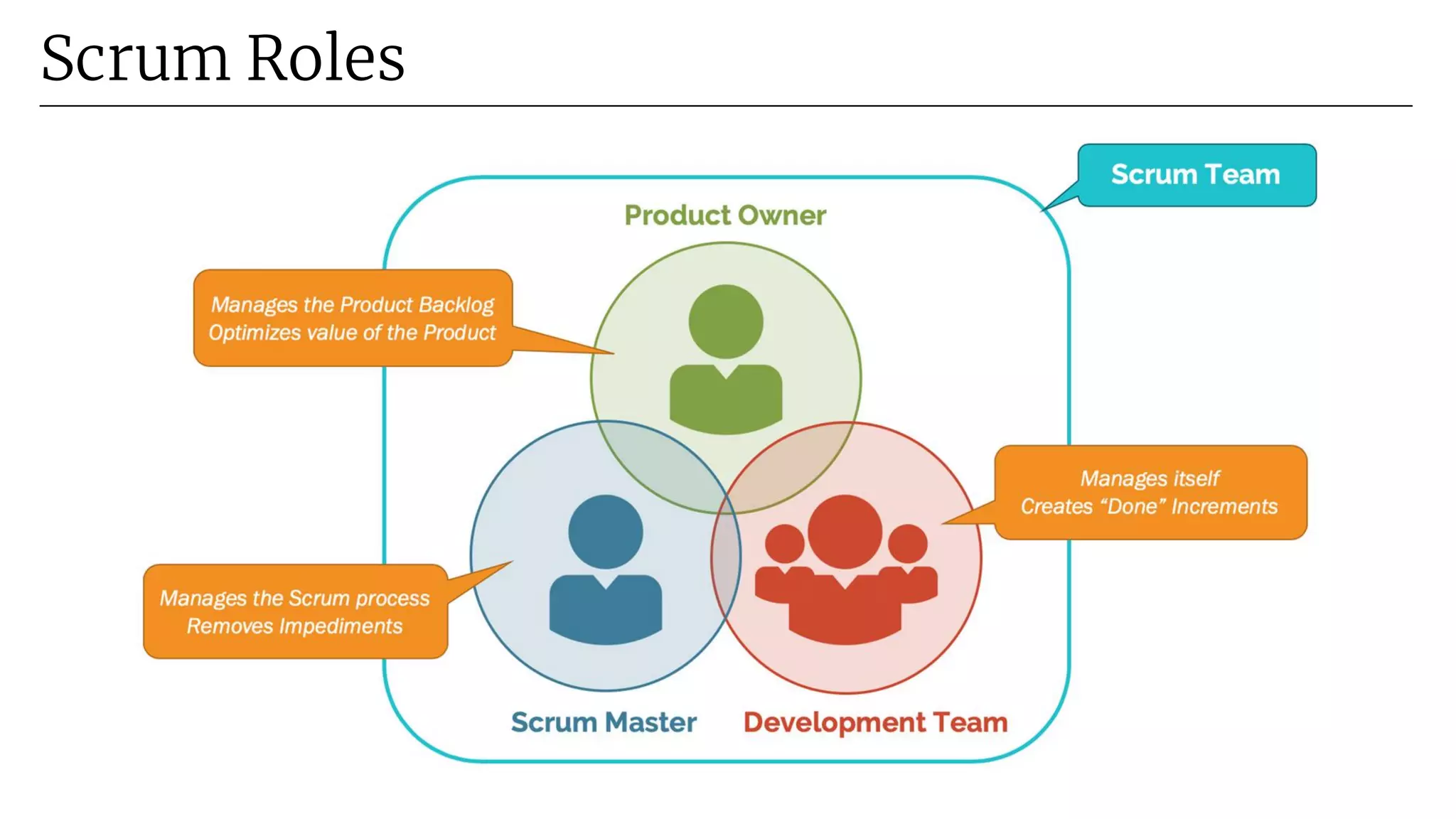 Scrum Roles
 