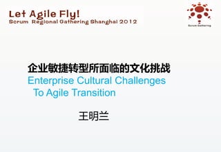 企业敏捷转型所面临的文化挑战
Enterprise Cultural Challenges
 To Agile Transition

          王明兰
 