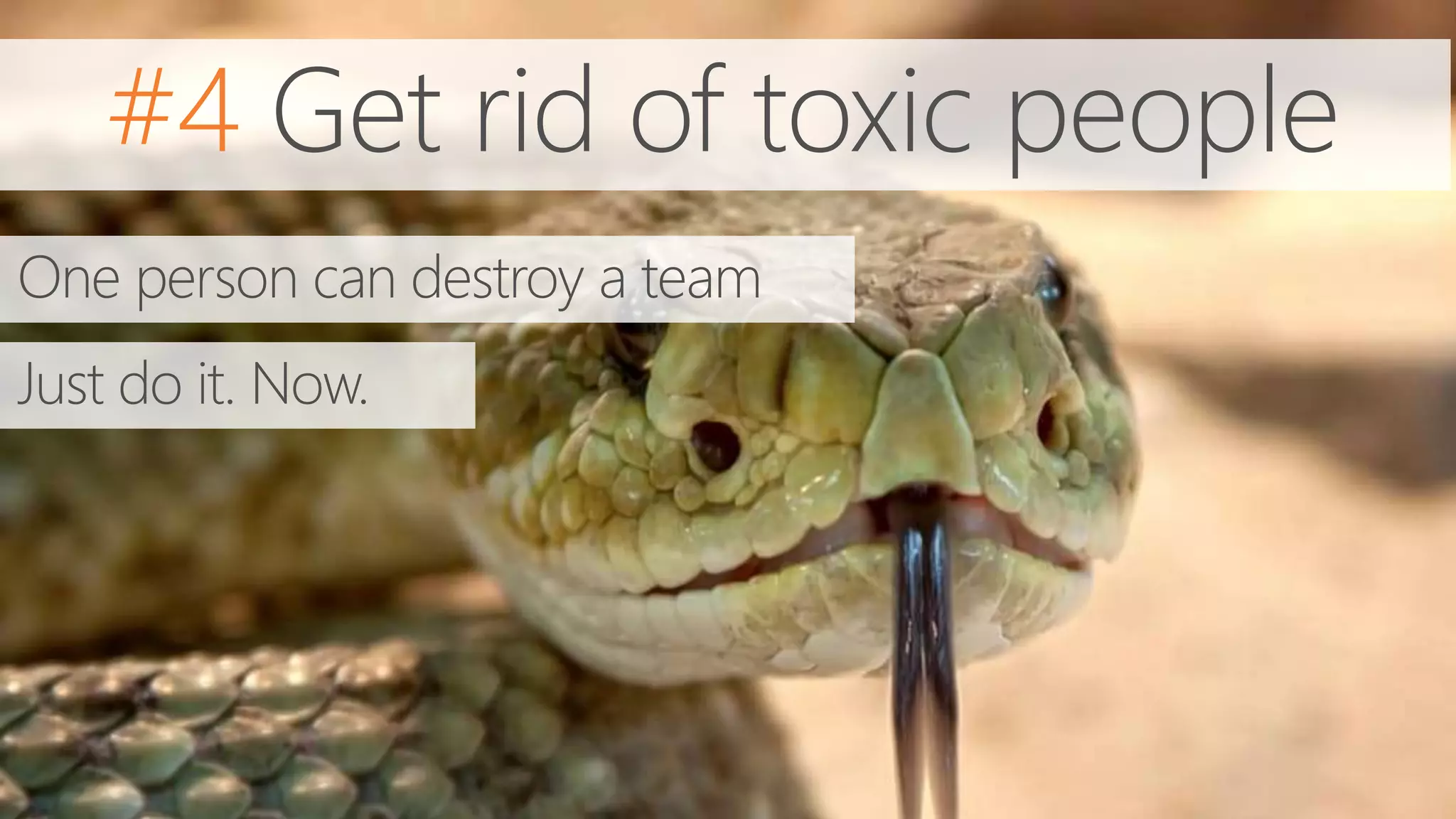 #4 Get rid of toxic people
One person can destroy a team
Just do it. Now.
 