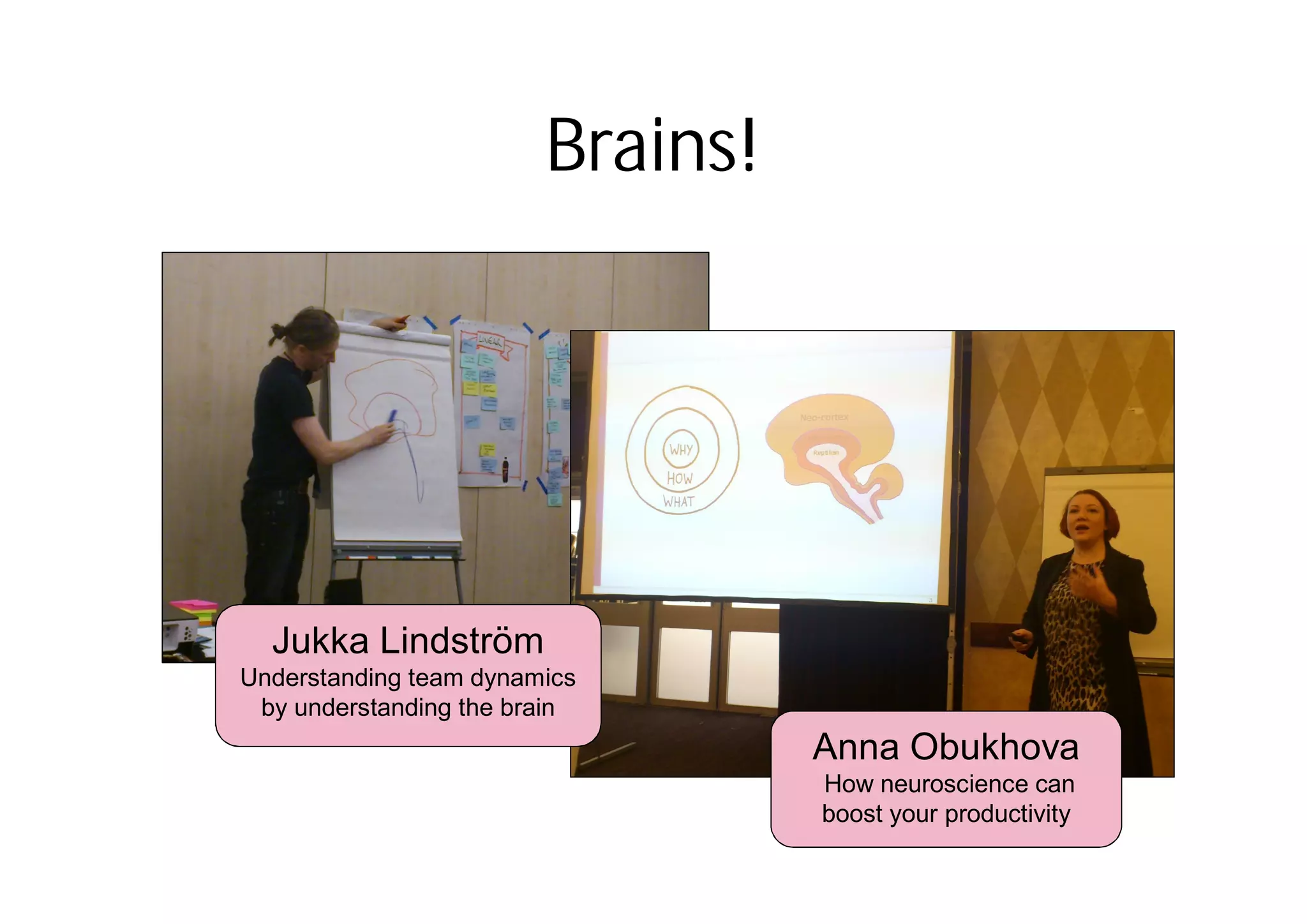 Brains!
Anna Obukhova
How neuroscience can
boost your productivity
Jukka Lindström
Understanding team dynamics
by understanding the brain
 