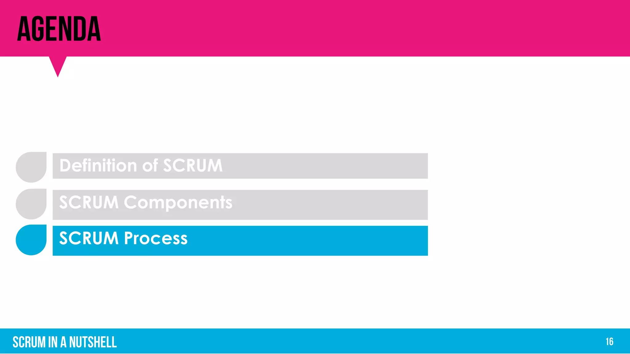 Definition of SCRUM
SCRUM Components
SCRUM Process
 