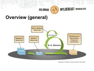 User story
● <actor>
  ○ A user that can perform and measure the action
● <action>
  ○ Something that the application is supposed to do
● <reason>
  ○ Background information to give context to story
 