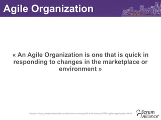 Agile Organization
Source: https://www.mckinsey.com/business-functions/organization/
our-insights/the-five-trademarks-of-a...