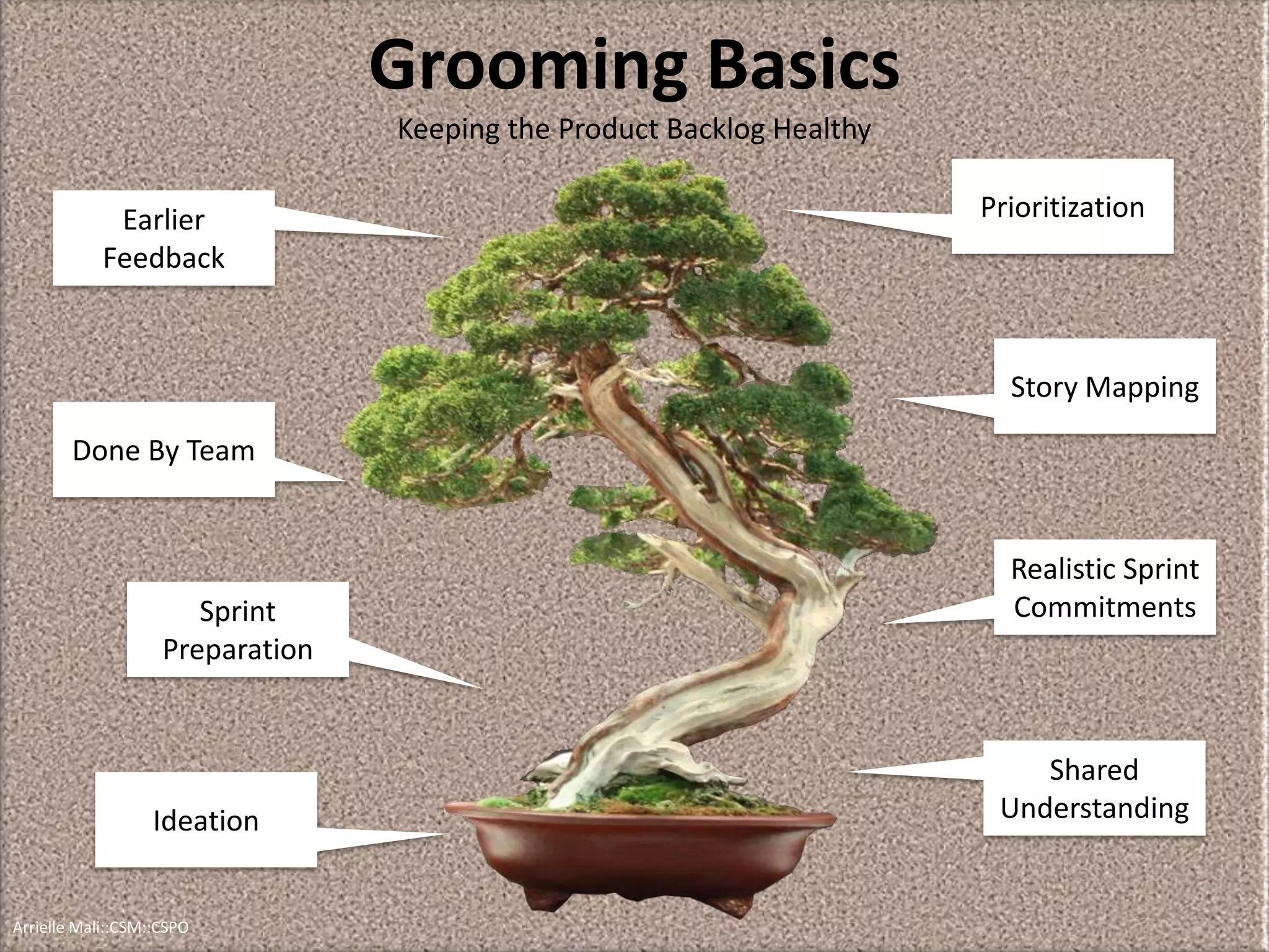 Grooming Basics
Keeping the Product Backlog Healthy
Prioritization
Story Mapping
Ideation
Done By Team
Realistic Sprint
Commitments
Earlier
Feedback
Shared
Understanding
Sprint
Preparation
Arrielle Mali :: CSP::CSPO::CSM
 