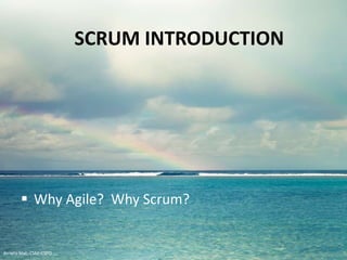 SCRUM INTRODUCTION
 Why Agile? Why Scrum?
Arrielle Mali :: CSP::CSPO::CSM
 