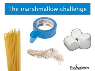 The marshmallow challenge
16
 