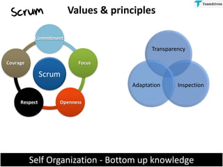 Self Organization - Bottom up knowledge
Values & principles
Transparency
InspectionAdaptation
 
