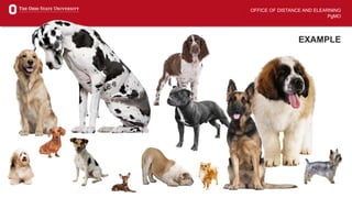 OFFICE OF DISTANCE AND ELEARNING
PgMO
EXAMPLE
 