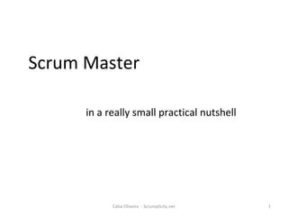 Scrum Master 
in a really small practical nutshell 
Cátia Oliveira - Scrumplicity.net 1 
 