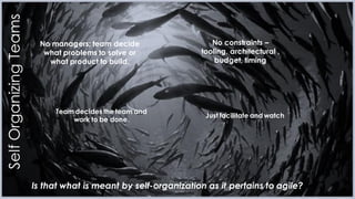 Is that what is meant by self-organization as it pertains to agile?
SelfOrganizingTeams
No managers; team decide
what problems to solve or
what product to build.
No constraints –
tooling, architectural ,
budget, timing
Team decides the team and
work to be done.
Just facilitate and watch
 