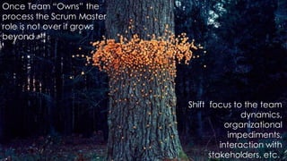 Shift focus to the team
dynamics,
organizational
impediments,
interaction with
stakeholders, etc.
Once Team “Owns” the
process the Scrum Master
role is not over it grows
beyond
 