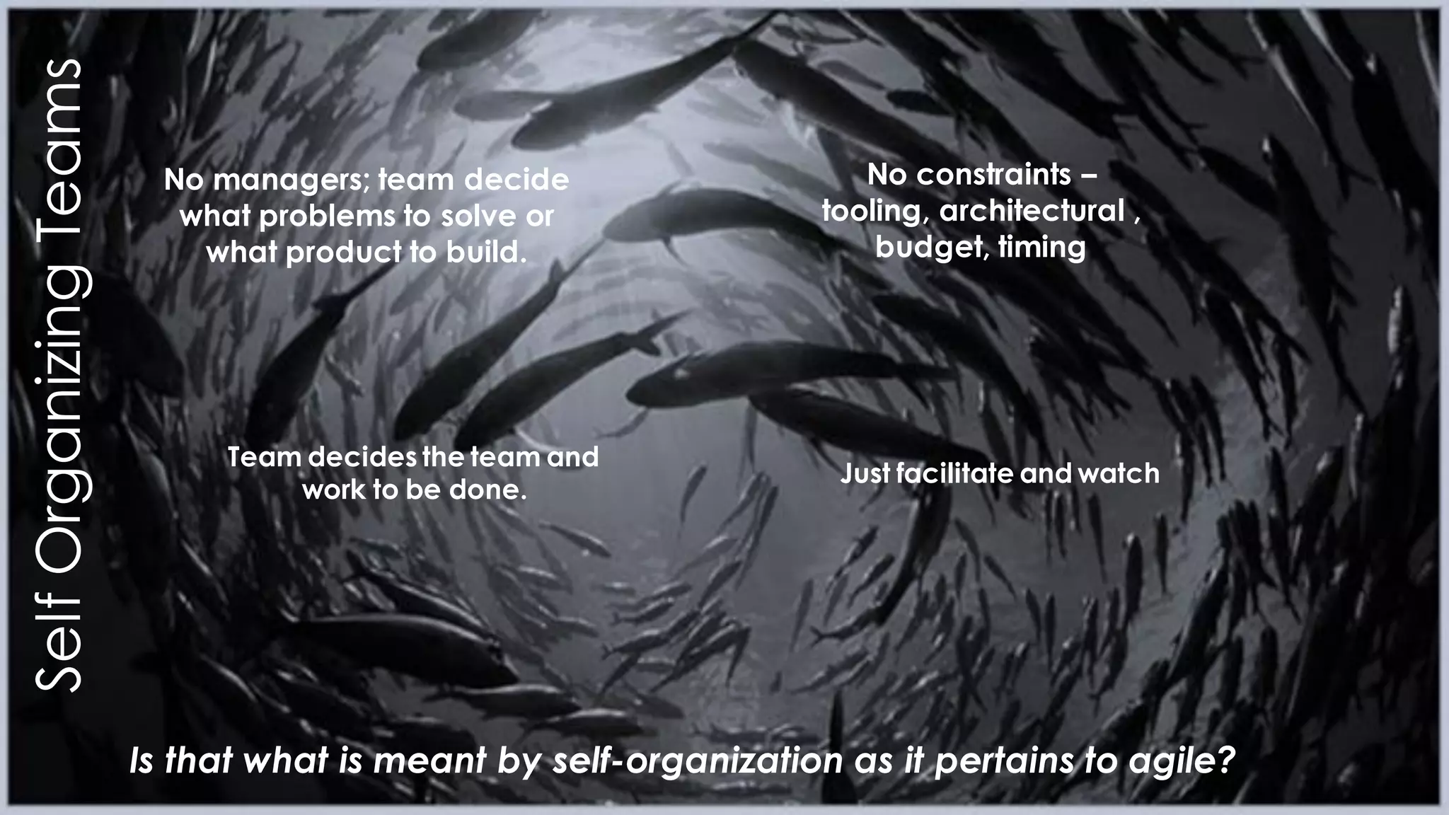 Is that what is meant by self-organization as it pertains to agile?
SelfOrganizingTeams
No managers; team decide
what problems to solve or
what product to build.
No constraints –
tooling, architectural ,
budget, timing
Team decides the team and
work to be done.
Just facilitate and watch
 