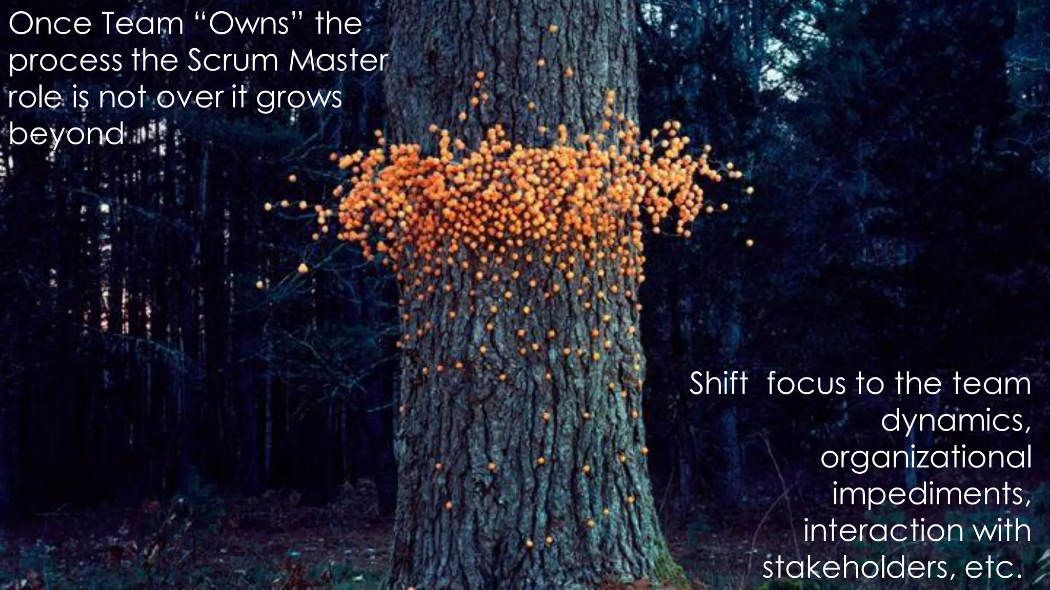 Shift focus to the team
dynamics,
organizational
impediments,
interaction with
stakeholders, etc.
Once Team “Owns” the
process the Scrum Master
role is not over it grows
beyond
 