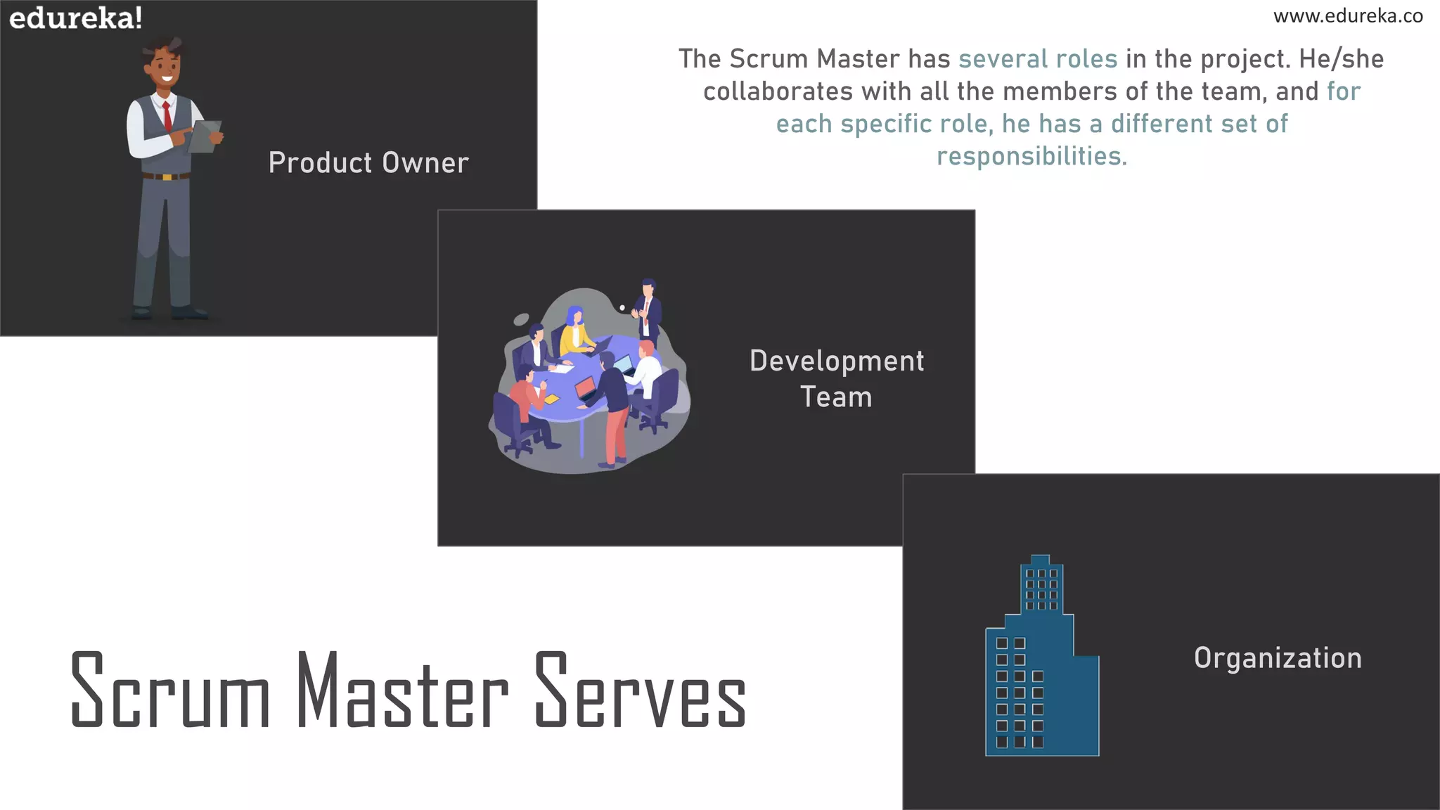 Product Owner
www.edureka.co
Scrum Master Serves
The Scrum Master has several roles in the project. He/she
collaborates with all the members of the team, and for
each specific role, he has a different set of
responsibilities.
Development
Team
Organization
www.edureka.co
 
