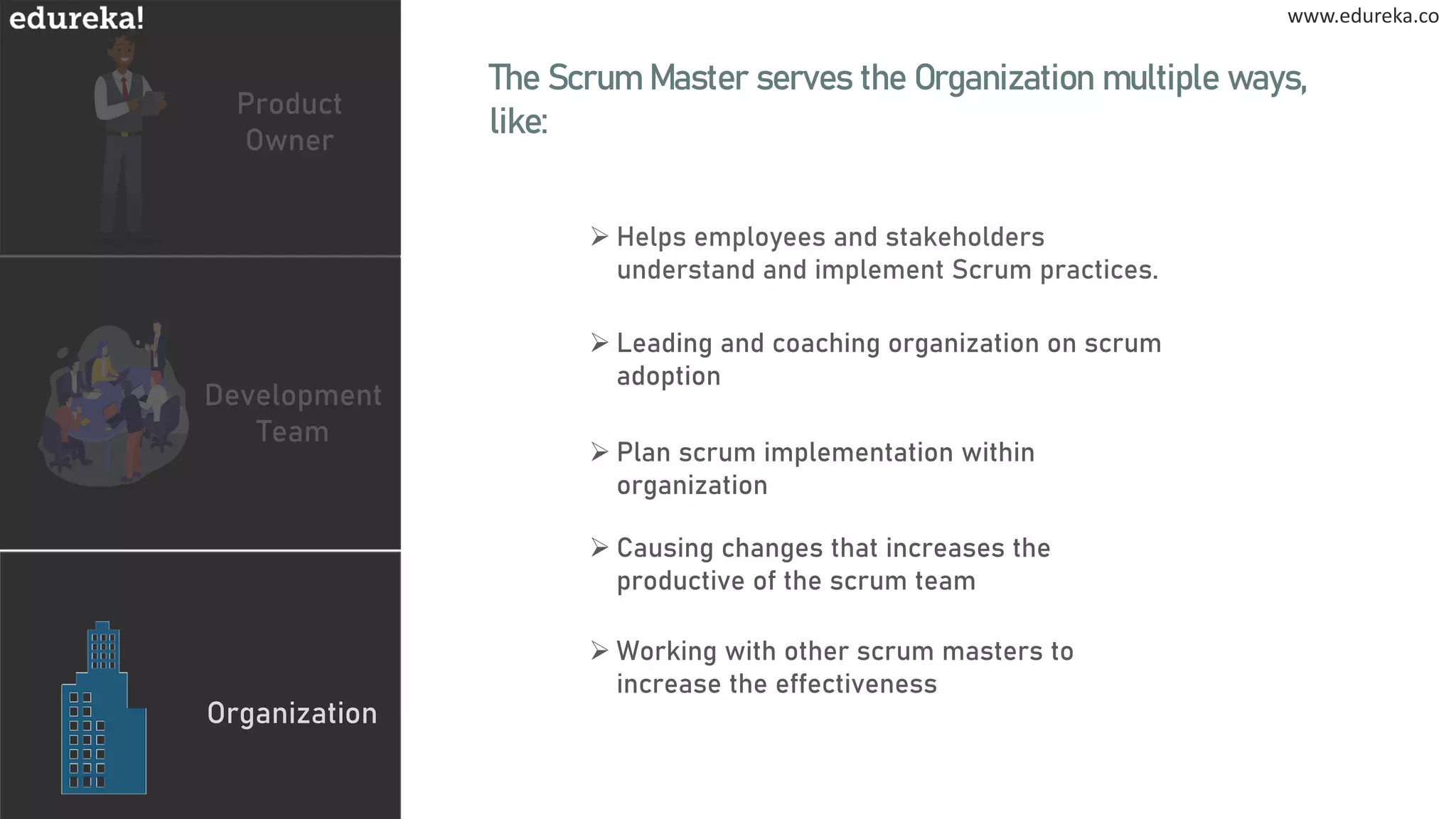 www.edureka.co
www.edureka.co
Product
Owner
Development
Team
Organization
The Scrum Master serves the Organization multiple ways,
like:
➢ Helps employees and stakeholders
understand and implement Scrum practices.
➢ Leading and coaching organization on scrum
adoption
➢ Causing changes that increases the
productive of the scrum team
➢ Working with other scrum masters to
increase the effectiveness
➢ Plan scrum implementation within
organization
 