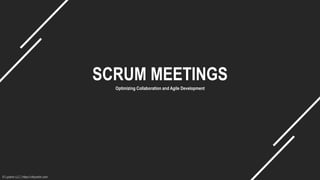 © Lyoshin LLC | https://vitlyoshin.com
SCRUM MEETINGS
Optimizing Collaboration and Agile Development
 