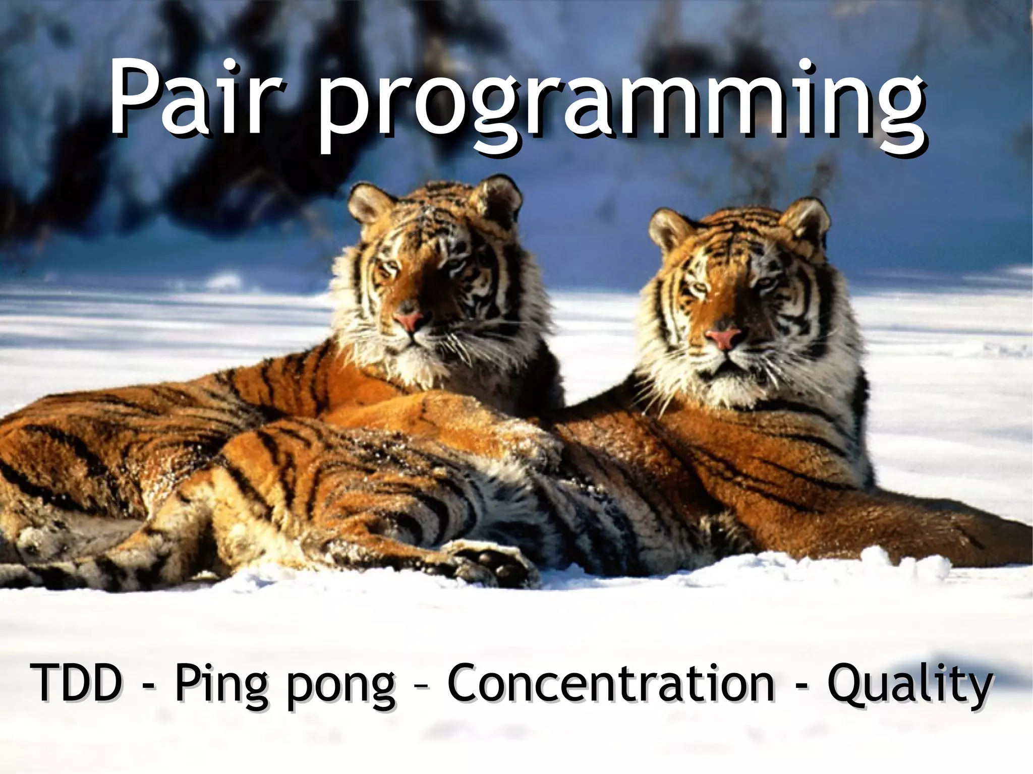 Pair programming




TDD - Ping pong – Concentration - Quality
 