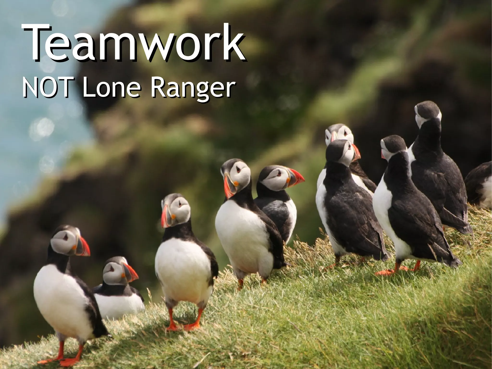 Teamwork
NOT Lone Ranger
 