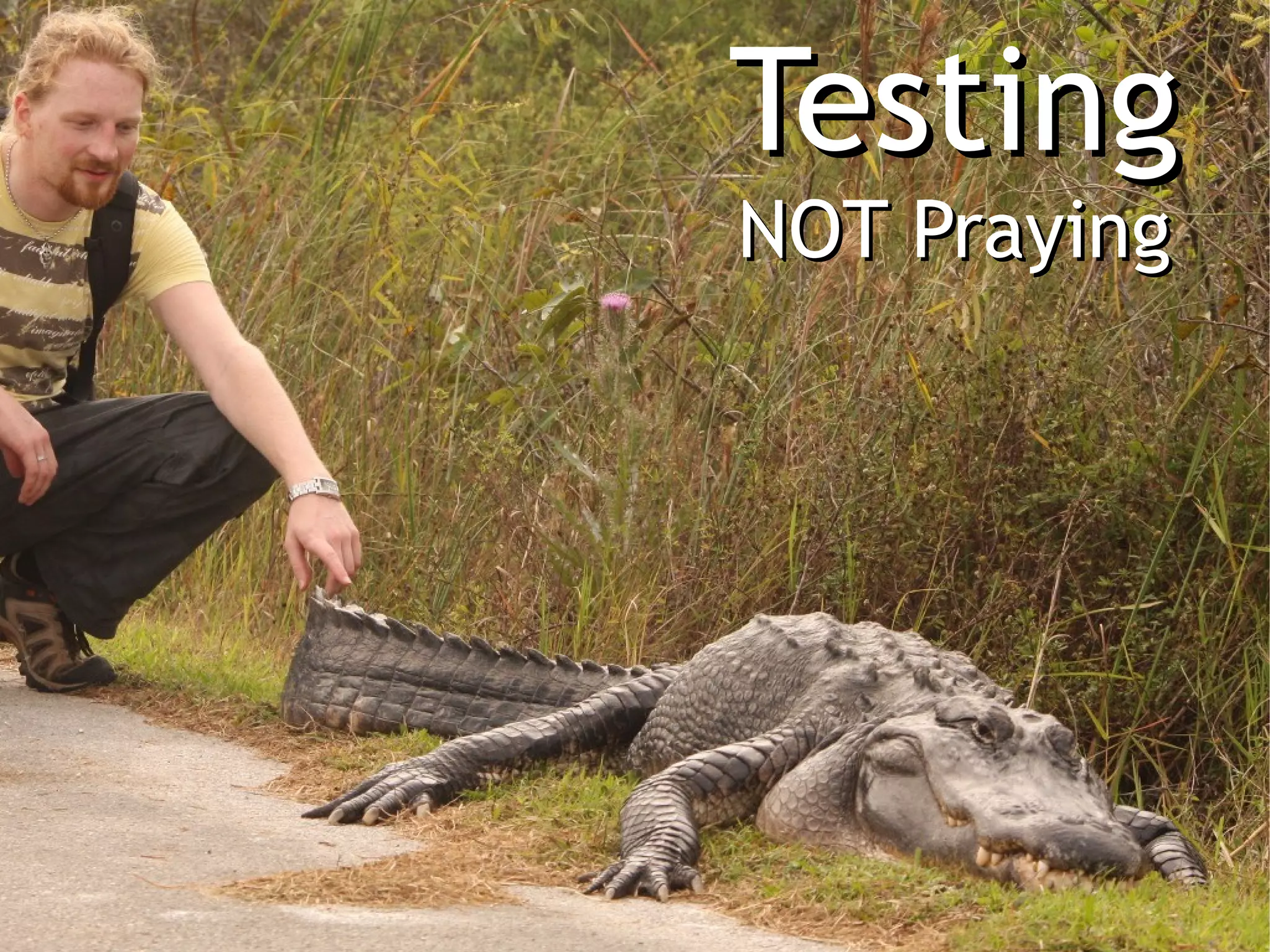 Testing
NOT Praying
 
