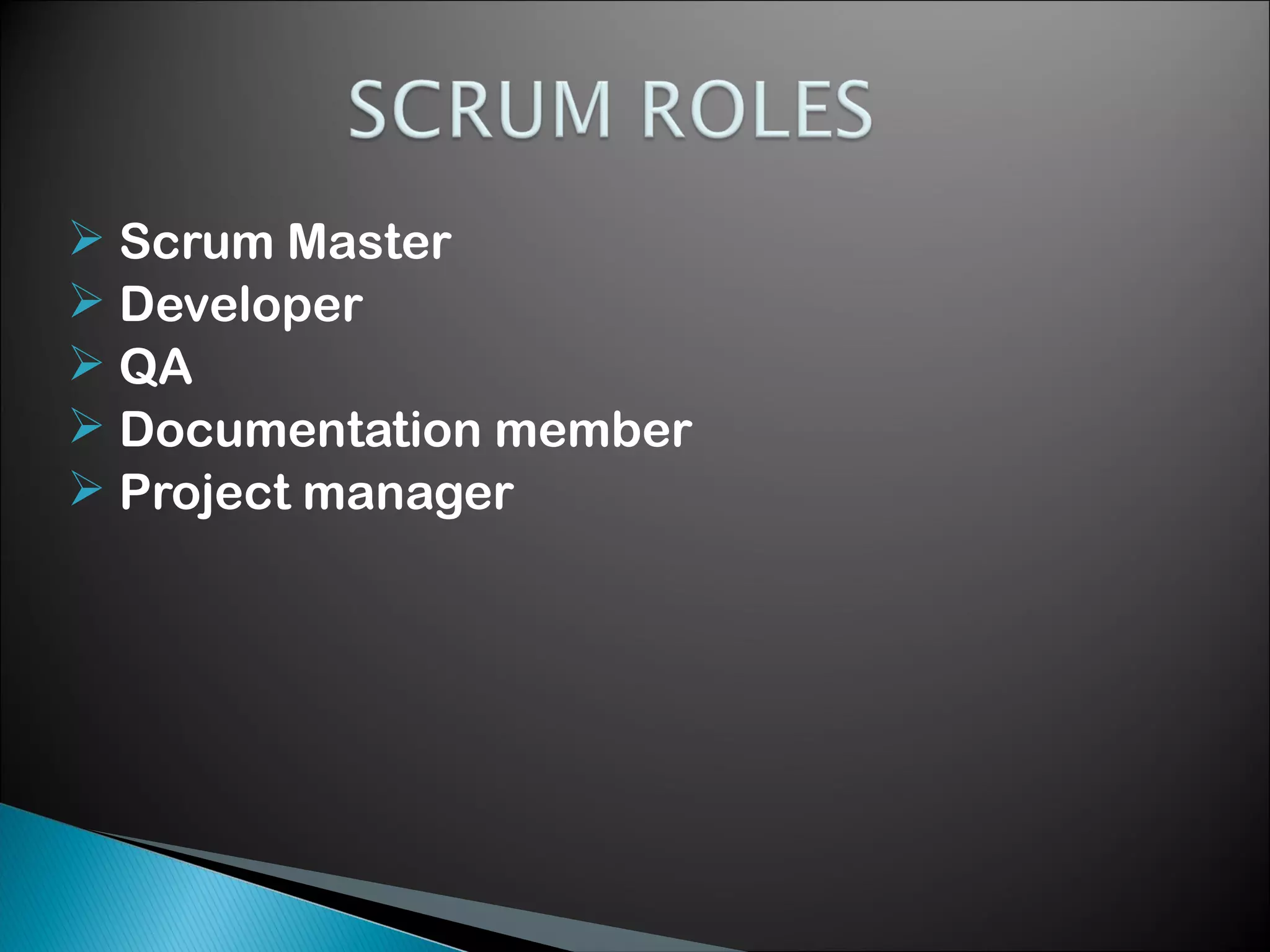  Scrum Master
 Developer
 QA
 Documentation member
 Project manager

 