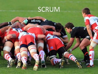 SCRUM 
 
