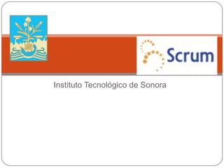 Instituto Tecnológico de Sonora
 