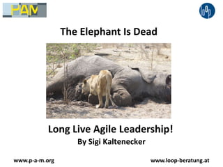 The Elephant Is Dead Long Live Agile Leadership! By Sigi Kaltenecker www.p-a-m.org www.loop-beratung.at 