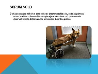 SCRUM SOLO
É uma adaptação do Scrum para o uso de programadores solo, onde as práticas
   scrum auxiliam o desenvolvedor a planejar e executar todo o processo de
   desenvolvimento de forma ágil e sem sustos durante o projeto.
 