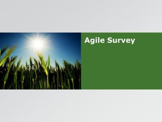 Agile Survey 