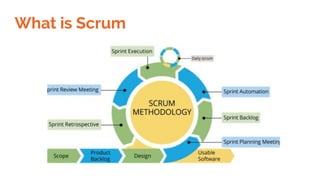 What is Scrum
 