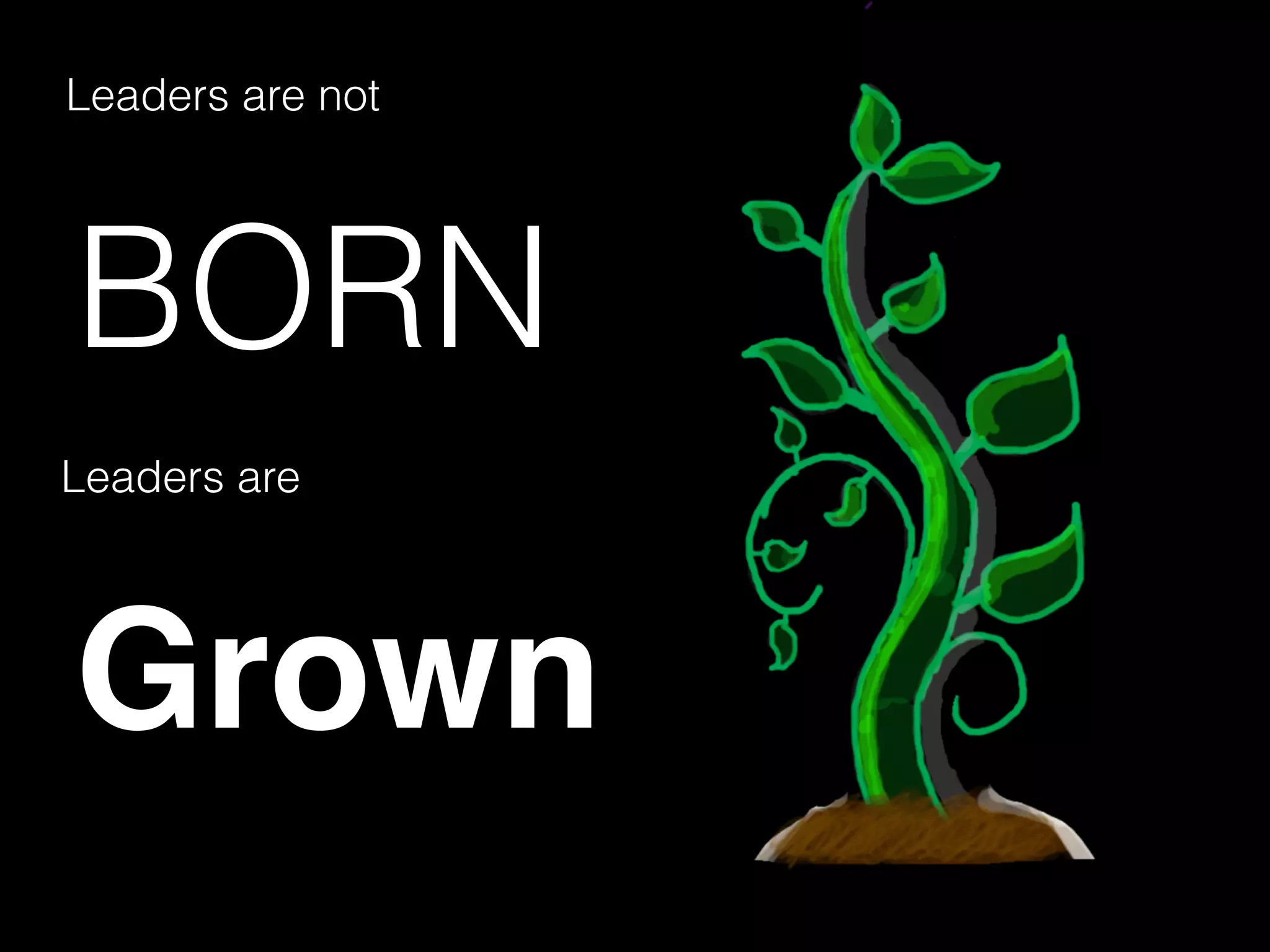 BORN
Leaders are not
Leaders are
Grown
 