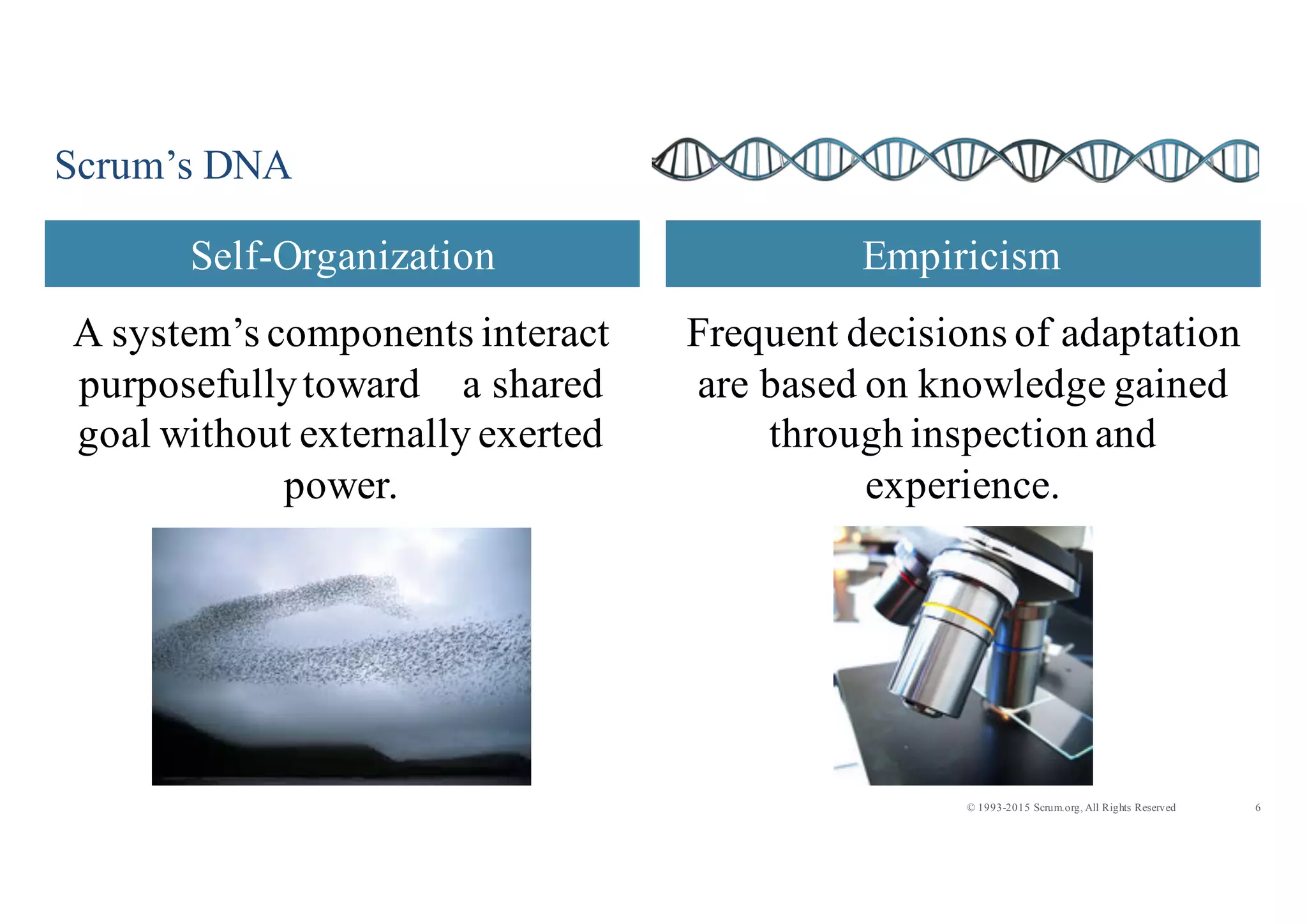 6© 1993-2015 Scrum.org, All Rights Reserved
A system’s components interact
purposefullytoward a shared
goal without externally exerted
power.
Frequent decisions of adaptation
are based on knowledge gained
through inspection and
experience.
Scrum’s DNA
Self-Organization Empiricism
 