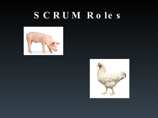SCRUM Roles 