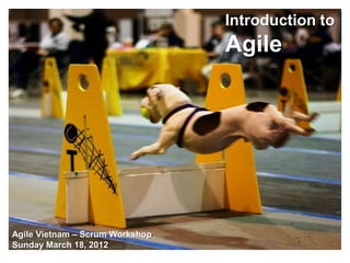 Introduction to
                                 Agile




Agile Vietnam – Scrum Workshop
Sunday March 18, 2012
 
