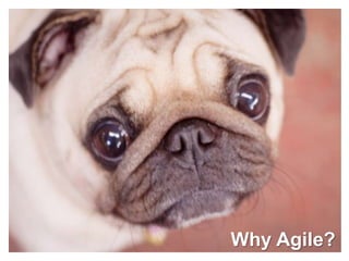 Why Agile?
 