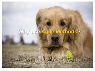Why use Agile Methods?
 