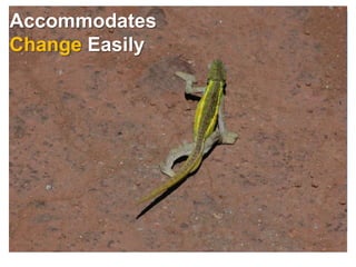 Accommodates
Change Easily
 