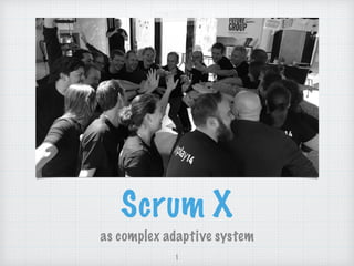 Scrum X
as complex adaptive system
1
 