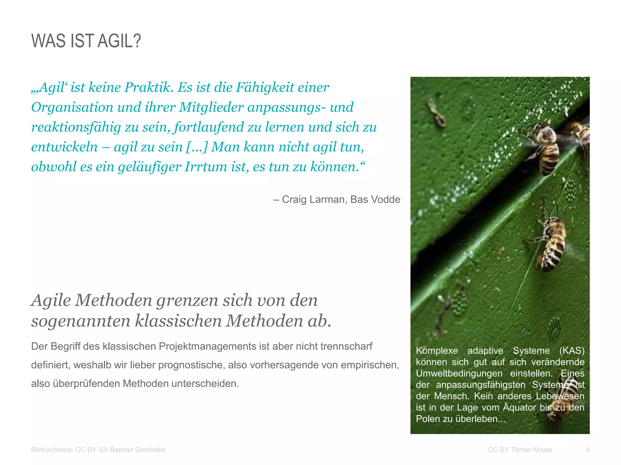 4CC BY Tilman Moser
WAS IST AGIL?
„‚Agil‘ ist keine Praktik. Es ist die Fähigkeit einer
Organisation und ihrer Mitglieder anpassungs- und
reaktionsfähig zu sein, fortlaufend zu lernen und sich zu
entwickeln – agil zu sein [...] Man kann nicht agil tun,
obwohl es ein geläufiger Irrtum ist, es tun zu können.“
– Craig Larman, Bas Vodde
Agile Methoden grenzen sich von den
sogenannten klassischen Methoden ab.
Der Begriff des klassischen Projektmanagements ist aber nicht trennscharf
definiert, weshalb wir lieber prognostische, also vorhersagende von empirischen,
also überprüfenden Methoden unterscheiden.
Bildnachweis: CC BY-SA Bastian Greshake
Komplexe adaptive Systeme (KAS)
können sich gut auf sich verändernde
Umweltbedingungen einstellen. Eines
der anpassungsfähigsten Systeme ist
der Mensch. Kein anderes Lebewesen
ist in der Lage vom Äquator bis zu den
Polen zu überleben...
 