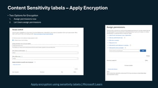 From Data Chaos to Copilot Confidence: A Step-by-Step Microsoft 365 ...